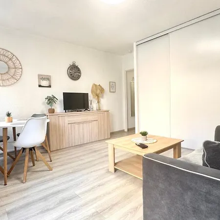 Mediterranee, 2 Pieces Tres Calme, Clime, Centre Apartment